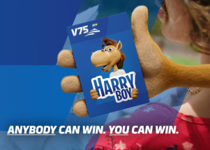 Harry Boy