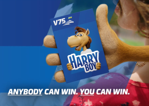 Harry Boy: The Very Best