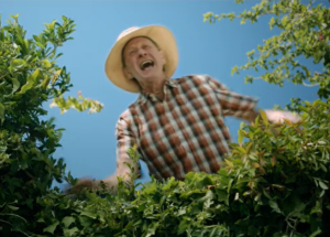 Tchibo: Garden